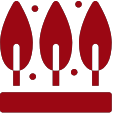 Shellac Export Promotion Council mobile